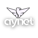 AYNET corporate logo